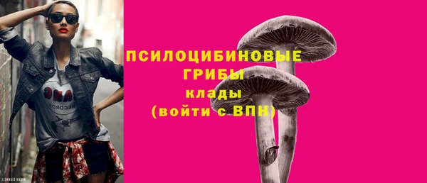 бошки Аркадак
