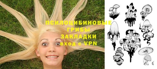 мет Армянск