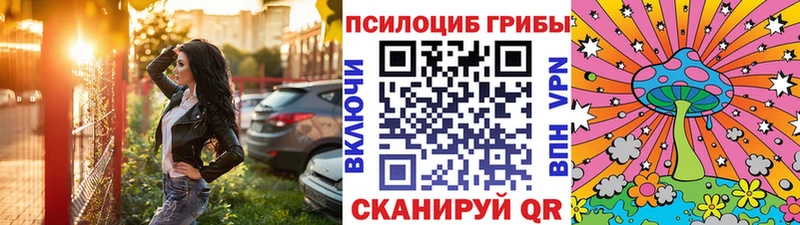 darknet формула  как найти наркотики  Кизляр  Псилоцибиновые грибы MAGIC MUSHROOMS 