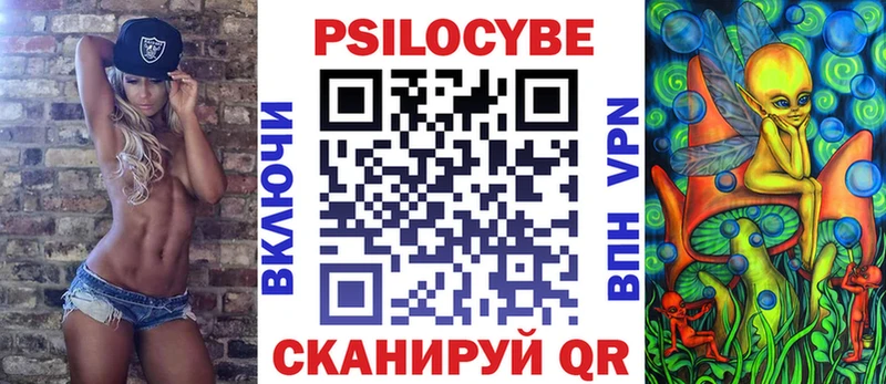 Псилоцибиновые грибы Cubensis Кизляр