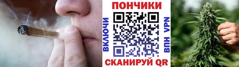 Каннабис конопля  Кизляр 